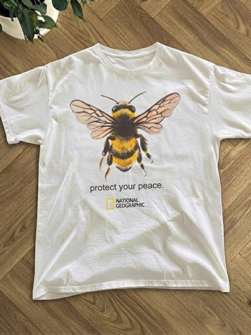 National Geographic "Protect Your Peace" Bee Graphic Tee - White/Yellow/Black